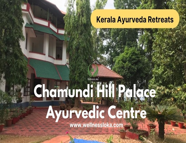 Chamundi Hill Palace Ayurvedic Treatment Center Kottayam