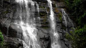 Images of Aruvikkachal Waterfalls