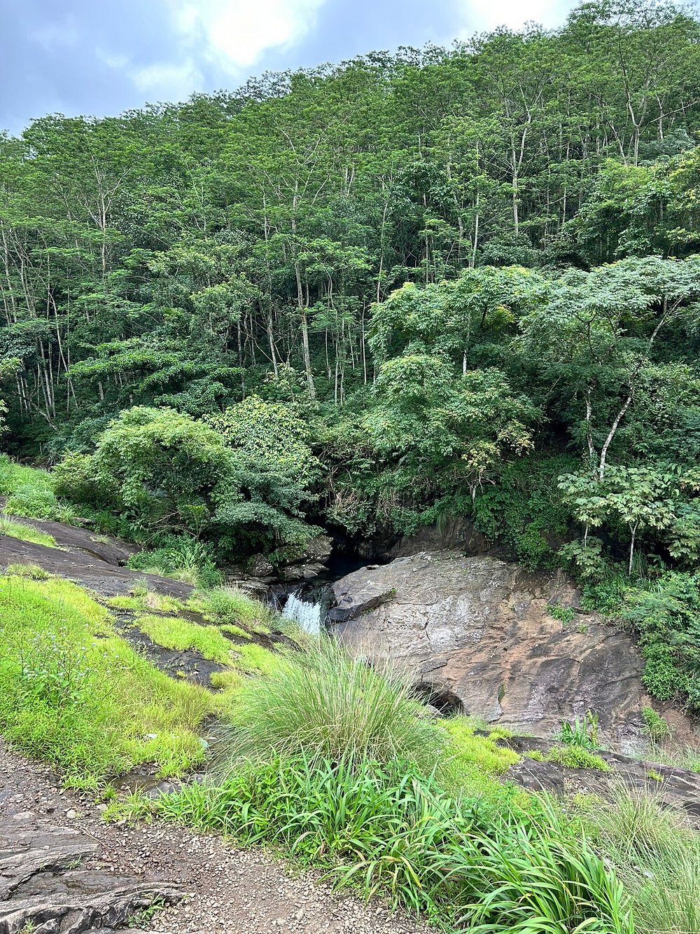 Kattikkayam Waterfalls  tourist Attractions Kottayam